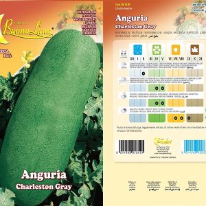 ANGURIA CHARLESTON GRAY 1581
