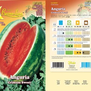 ANGURIA CRIMSON SWEET 0021