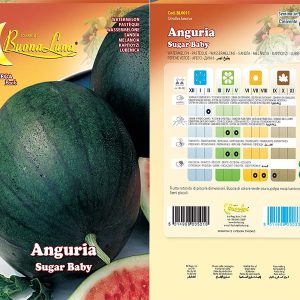 ANGURIA SUGAR BABY 0011