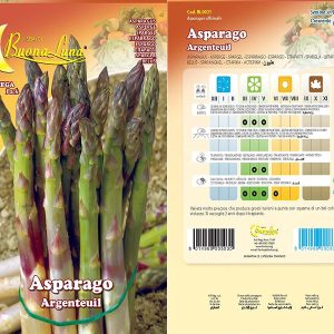 ASPARAGO PRECOCE D'ARGENTUIL 0031