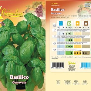 BASILICO ITALIANO CLASSICO 0051