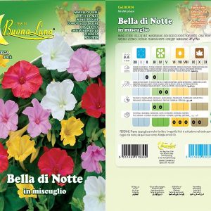 BELLA DI NOTTE - 3434