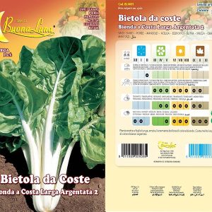 BIETOLA BIONDA COSTA LARGA ARGENTATA 2 0081