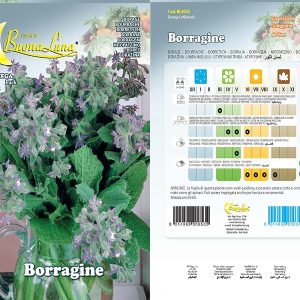 BORRAGINE SEEDS 4025