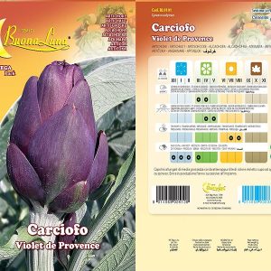 CARCIOFO VIOLET DE PROVENCE 0101