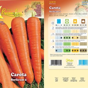CAROTA BERLICUM 1501
