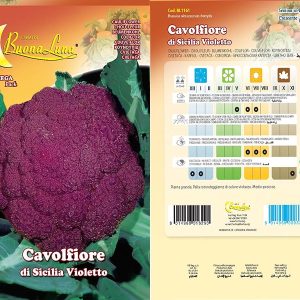 CAVOLFIORE DI SICILIA VIOLETTO 1161