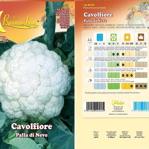 CAVOLFIORE PALLA DI NEVE 0181