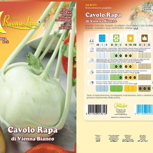 CAVOLO RAPA DI VIENNA BIANCO 1271
