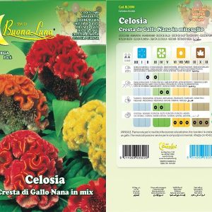 CELOSIA CRESTA DI GALLO NANA MIX - 3094