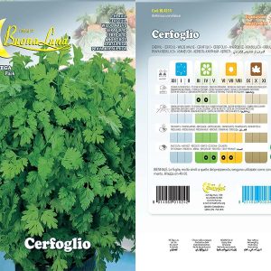 CERFOGLIO SEEDS