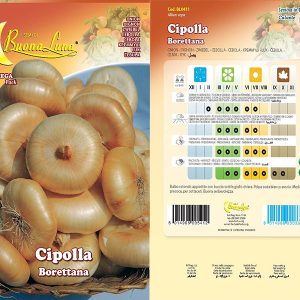 CIPOLLA BORETTANA 0411