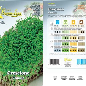 CRESCIONE COMUNE SEEDS