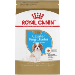 Cavalier King Charles Puppy Dry Dog Food