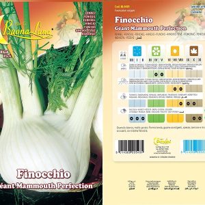 FINOCCHIO GEANT MAMMOUTH PERFECTION - 0481