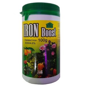 IRON BOOST 100G-PROVERDE