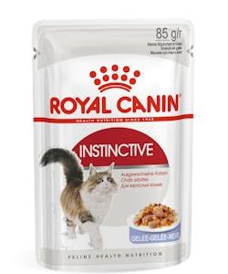 Instinctive Jelly