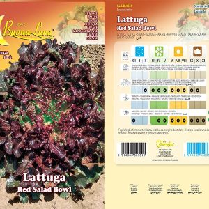 LATTUGA RED SALAD BOWL - 0611