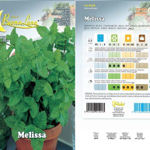 MELISSA SEEDS 4245
