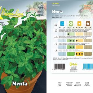 MENTA SEEDS 4085