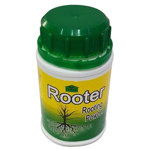 ROOTER-ROOTING POWDER PROVERDE