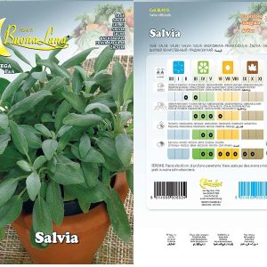 SALVIA SEEDS