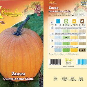 ZUCCA QUINTALE SEME GIALLO - 1071