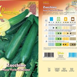 ZUCCHINO NANO VERDE DI MILANO - 1131