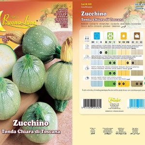 ZUCCHINO TONDO CHIARA DI TOSCANA - 1091