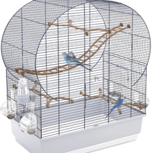 Andorra Blue Cage