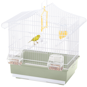 Ava Cage Imac