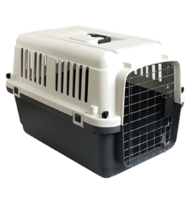 Dog Transport
