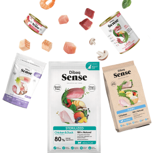 DIBAQ SENSE