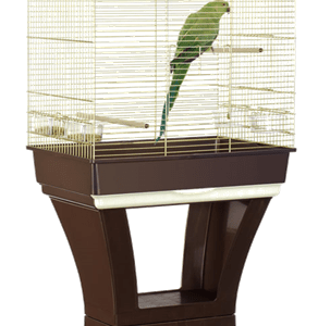 Calla Cage Gold