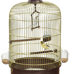 Milly Gold Cage