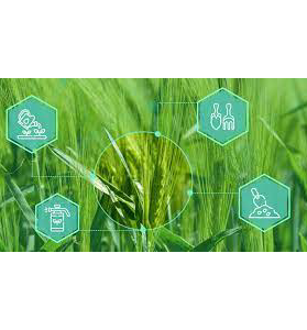 Plant Protection & Pest Control